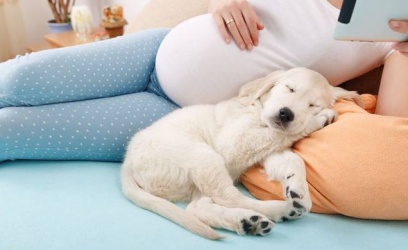 【產前須知】懷孕媽咪養寵物須注意什麼？