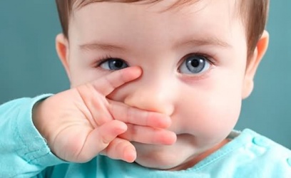 何謂「呼吸道融合病毒」？