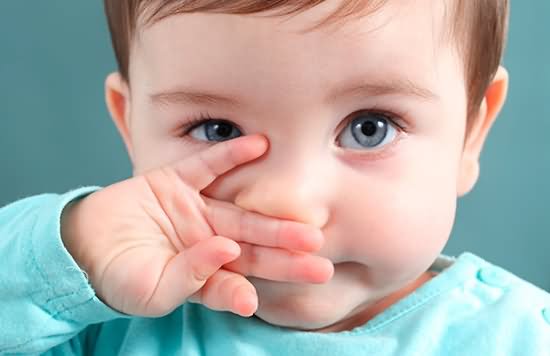 何謂「呼吸道融合病毒」？